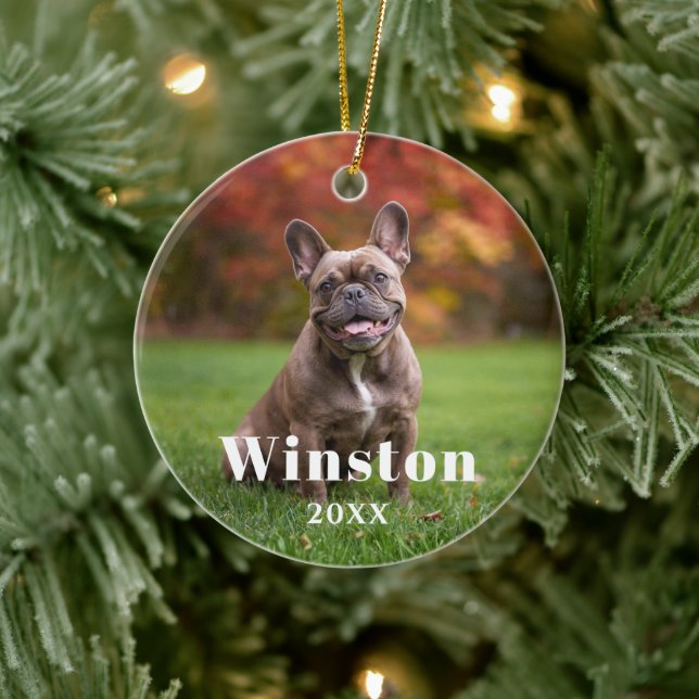 Modern Custom Pet Name Year Photo Holiday Keramik Ornament (Baum)