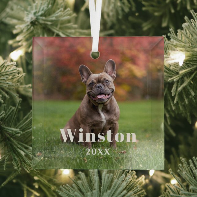 Modern Custom Pet Name Year Photo Holiday Ornament Aus Glas (Insitu)