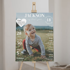 Modern First Birthday Foto Meilenstein Poster