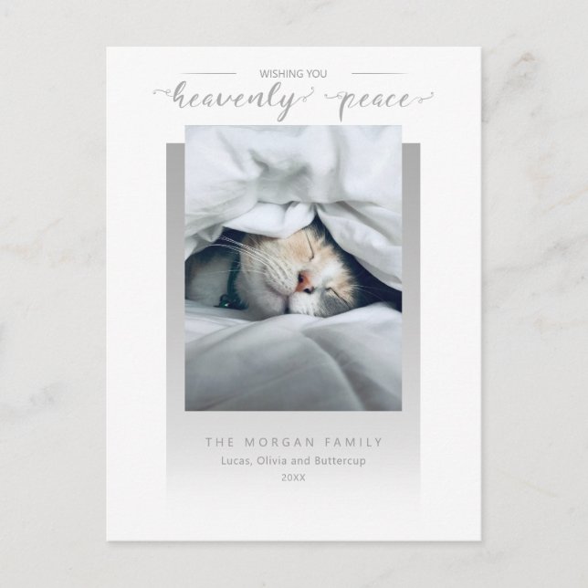 Modern Heavenly Peace Calligraphy Pet Photo Postkarte (Vorderseite)