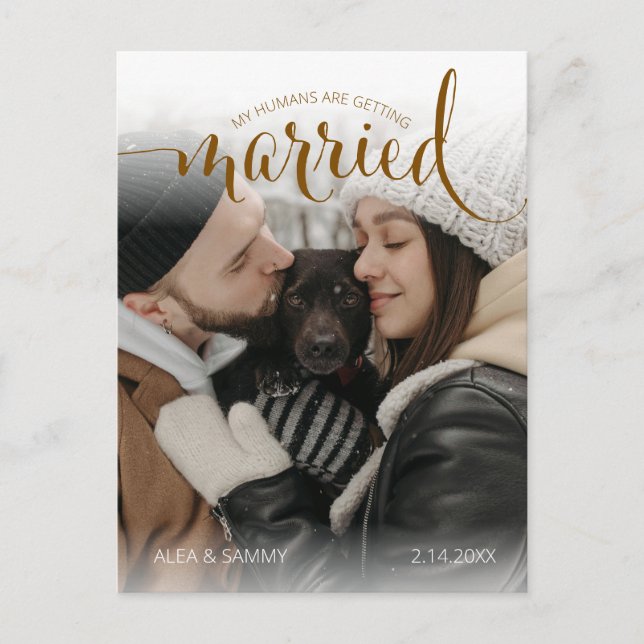 Modern Humans Getting Married Pet Photo Engagement Postkarte (Vorderseite)