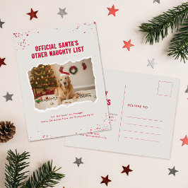 Modern Humor Funny Photo Dog Christmas Postcard Postkarte