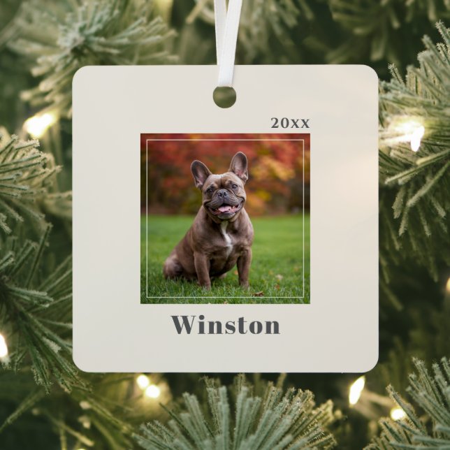 Modern Ivory Custom Pet Name Photo Ornament Aus Metall (InSitu)