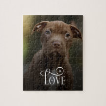 Modern Love Custom Dog Pets Photo Monogram