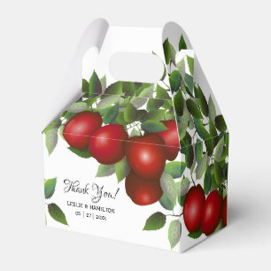 Modern Red Apples Frucht GASTGESCHENK HOCHZEIT Geschenkschachtel