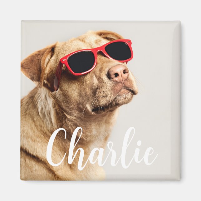 Modern Simple Playful Elegant Chic Pet Photo  Magnet (Vorne)