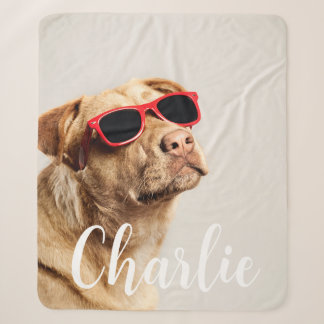 Modern Simple Playful Elegant Chic Pet Photo  Sherpadecke