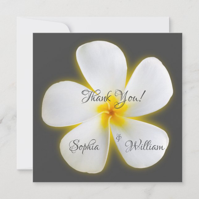 Modern Square White Plumeria Blume, vielen Dank (Vorderseite)