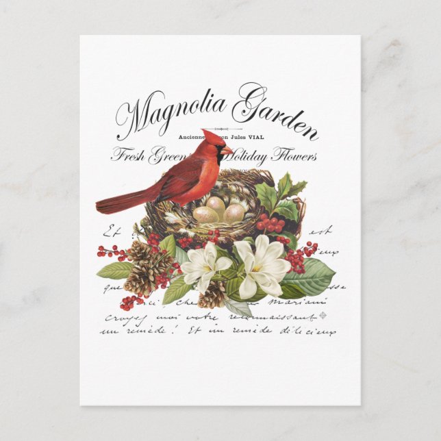 Modern Vintage Weihnachten Kardinal Postkarte (Vorderseite)