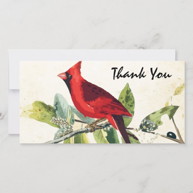 Modern Watercolor Red Kardinal Beerdigung Danke (Vorderseite)