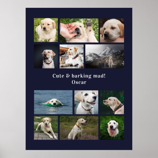 Moderne 12 Hunde Foto personalisierte Collage Poster (Vorne)