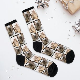 Moderne 2 Katzen Foto Collage Gitter Socken