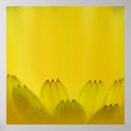 Moderne Abstrakt-Gelbmarigold-Blume-Petalen Poster
