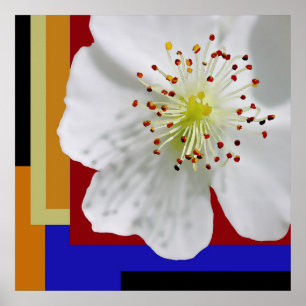 Moderne abstrakte Blumenfeinbildkunst der Frühling Poster
