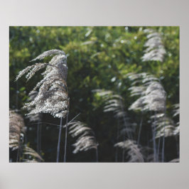 Moderne abstrakte botanische Kunst – Naturformen Poster