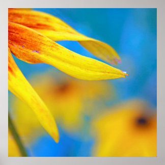 Moderne Abstrakte Macro-Gelbe Verdichtung auf blau Poster