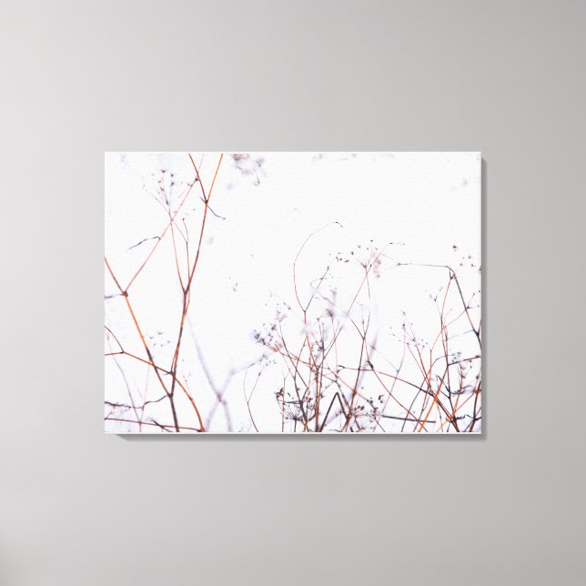 Moderne Abstrakte Winter-Wildblumen im Schnee Leinwanddruck (Vorderseite)