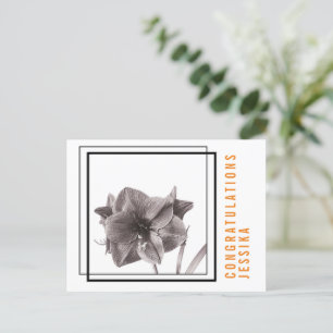 Moderne Amaryllis-Blume Orange Postkarte