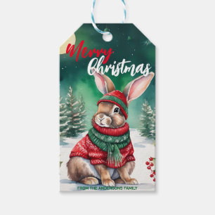 Moderne Aquarellfarbe Sonnenhasen Weihnachtsbaum S Geschenkanhänger