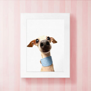 Moderne benutzerdefinierte Tier-Foto   Meeko Poster