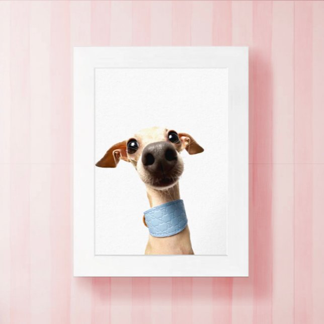Moderne benutzerdefinierte Tier-Foto | Meeko Poster (Von Creator hochgeladen)