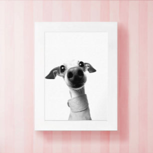 Moderne benutzerdefinierte Tier-Fotos Meeko Poster