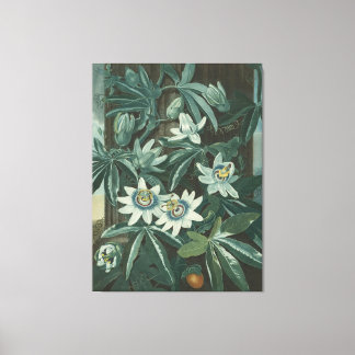 Moderne Blume Leinwanddruck
