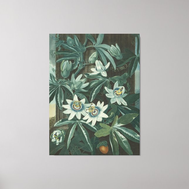 Moderne Blume Leinwanddruck (Vorderseite)