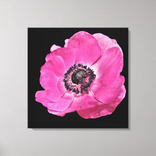 Moderne Blumen Vibrant Hellrosa Klatschmohn Schwar Leinwanddruck
