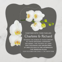 Moderne Blumenhochzeit | Weiße Orchideen-Blume