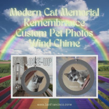 Moderne Cat Memorial Erinnerung an Fotos für Haust