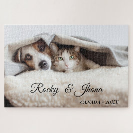 Moderne einfache Fotografie HUND UND KATZE