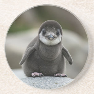 Moderne einfache weiße Marmor-Rustico-Papier-Unter Getränkeuntersetzer