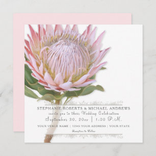 Moderne elegante einfache rosa Protea-mit Einladung