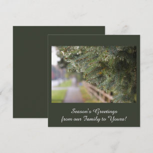 Moderne, elegante, schimmernde Evergreen Needles G Feiertagskarte