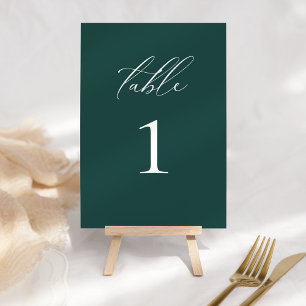 Moderne elegante Schriftart Türkis Tischnummer