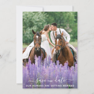 Moderne Equine Personalisiert Pet Foto Save The Date