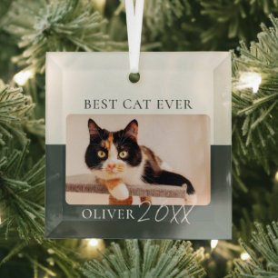 Moderne Farbblock benutzerdefinierte beste Katze j Ornament Aus Glas