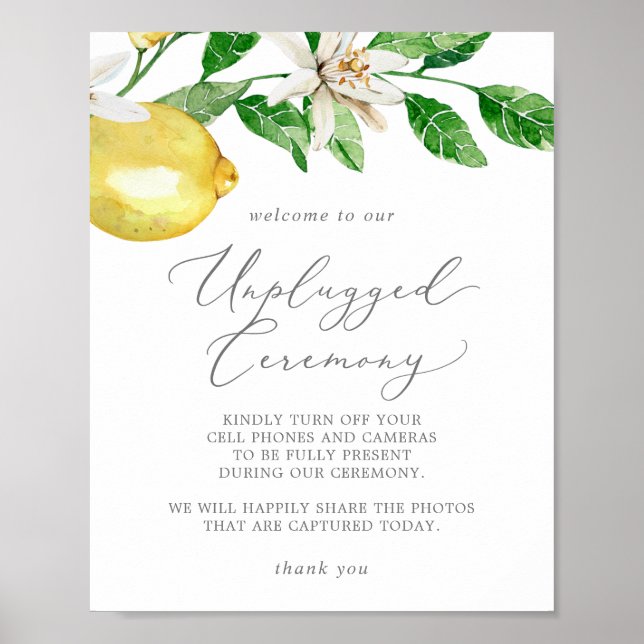 Moderne Feier "Lemon Garden Unplugged" Poster (Vorne)