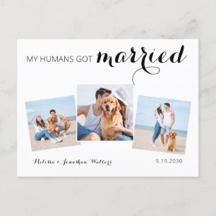 Moderne Foto Collage Hund Hochzeitfeier Ankündigungspostkarte