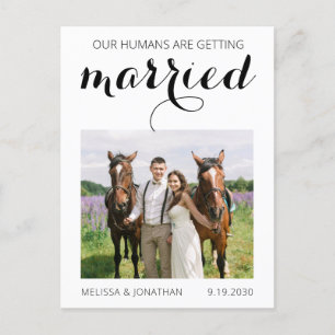 Moderne Foto-Pferdepferd-Hochzeit rettet das Datum Ankündigungspostkarte