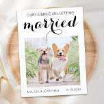 Moderne Foto Verlobung Hund Save the Date Anno Ankündigungspostkarte<br><div class="desc">Lass deinen besten Hund verkünden deine Hochzeit mit diesem super niedlichen "My Humans Are Getting Married" Hund zum Speichern der Datumskarten. Passen Sie Ihre Wünsche mit Ihrem bevorzugten Foto an und personalisieren Sie Ihre Wünsche mit Namen, Datum und Ort der Hochzeit. Diese Hochzeit speichern Sie das Datum Ankündigung wird ein...</div>