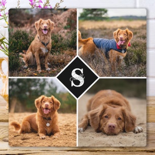 Moderne Fotocollage Personalisiertes Monogramm Hun Fotoplatte