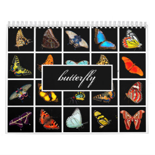 Moderne Fotografie Butterfly Kalender