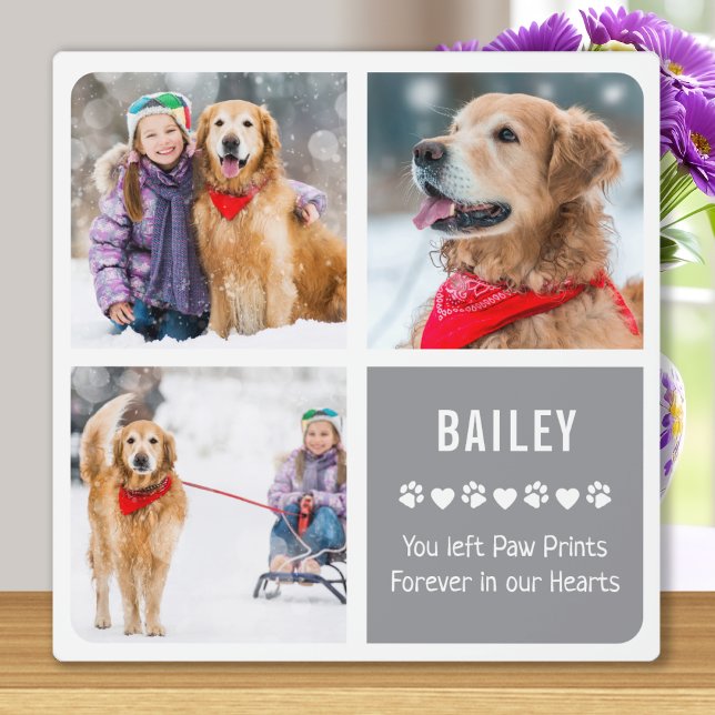 Moderne Fotosammlung zur Erinnerung an Haustiere Fotoplatte (Von Creator hochgeladen)