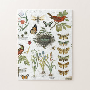 moderne französische botanische Vögel und Blumen i