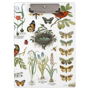 moderne französische botanische Vögel und Blumen i Klemmbrett