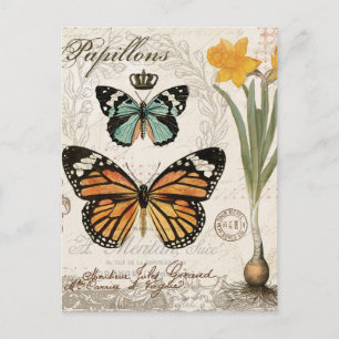 Moderne französische Vintage-Schmetterlinge Postkarte