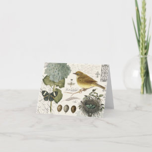 moderne französische Vintage-Vögel und Nest Karte