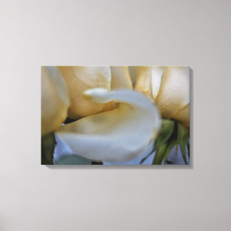 Moderne Galerie-Leinwand – Elegante Kunst für jede Leinwanddruck